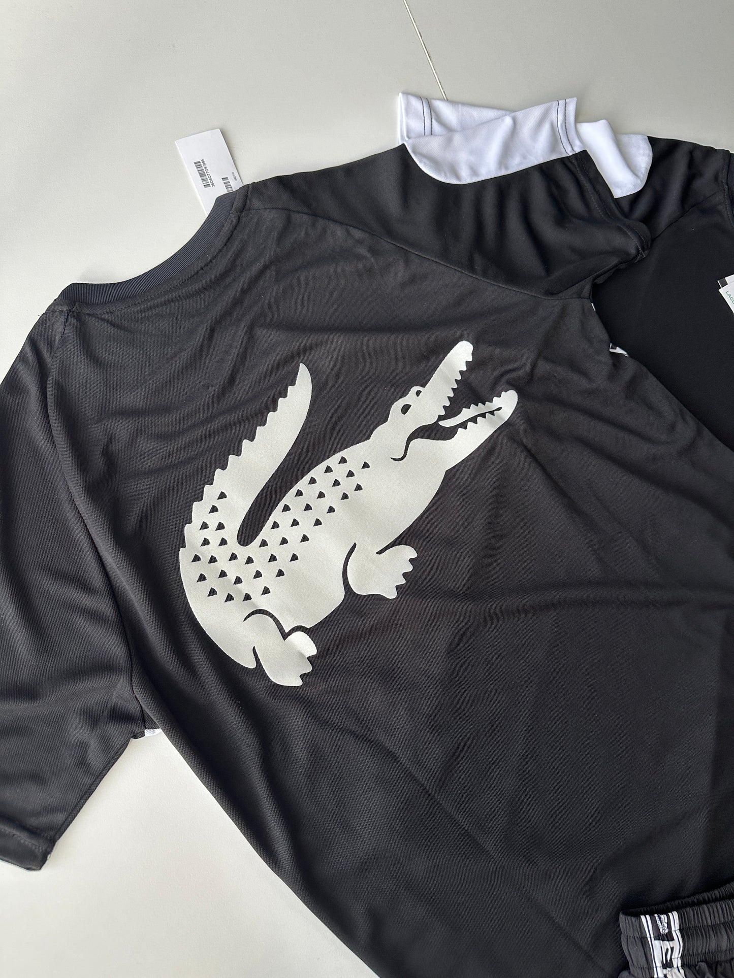 Conjunto Verano Lacoste