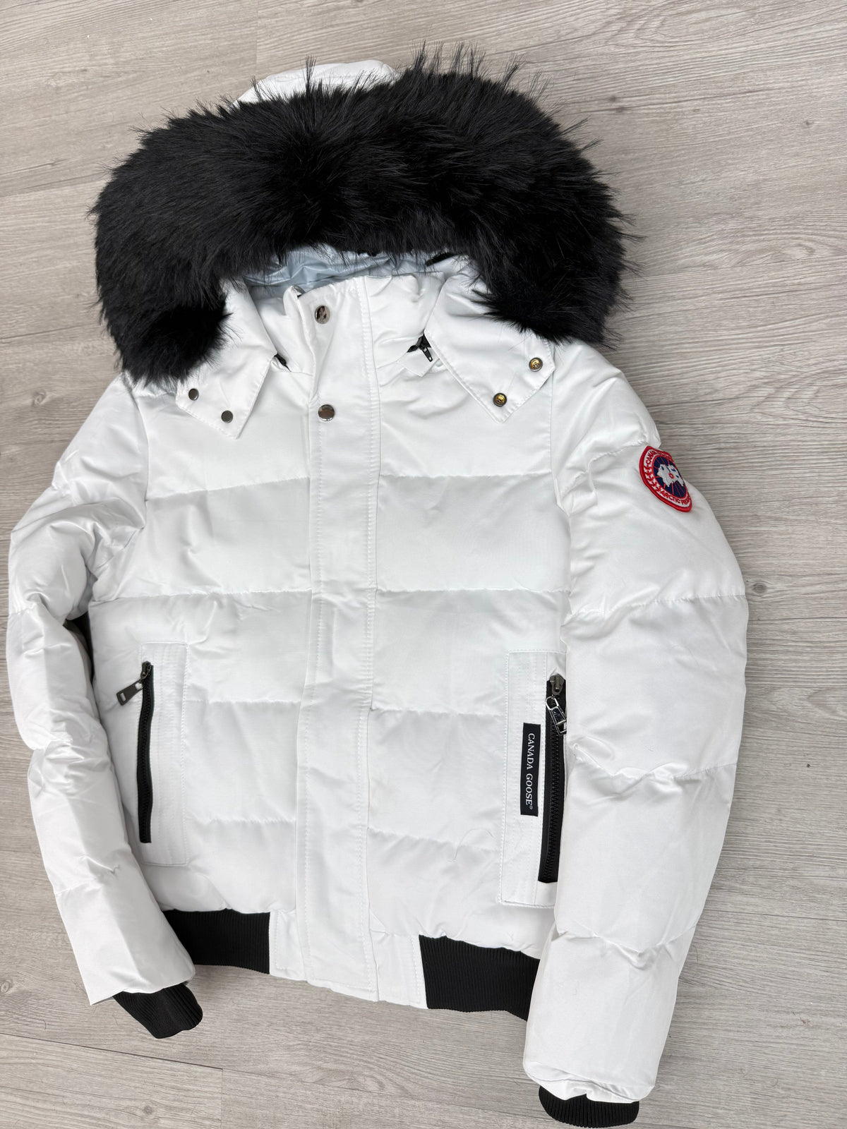 CASACO CANADA GOOSE 🐼